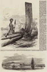 Neuseeland
